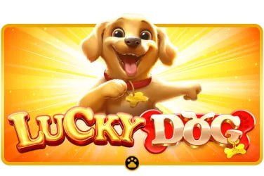 winbet 365