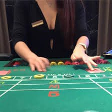 winbet 365